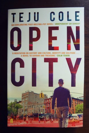 tejucole_opencity