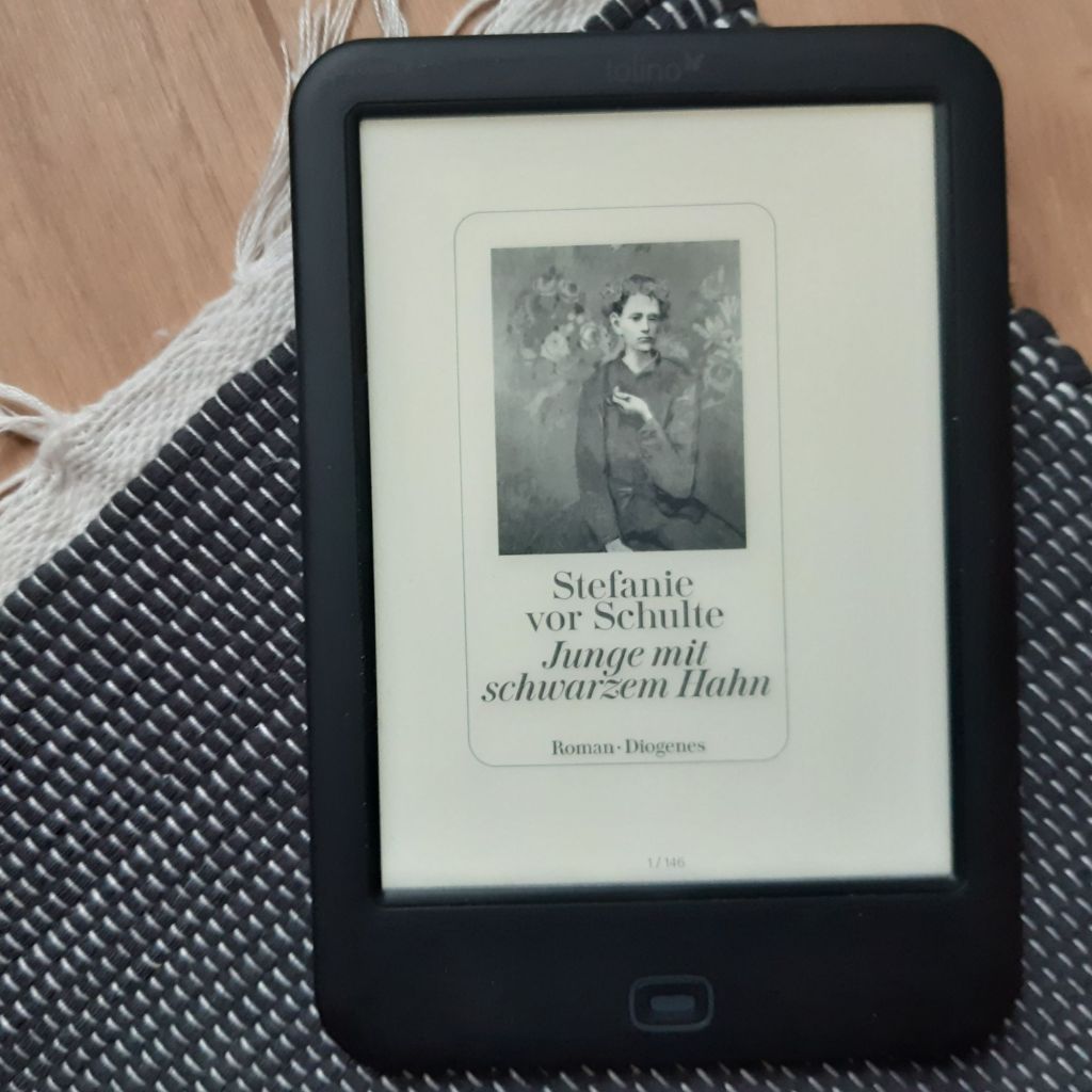 Ein düsteres Märchen – „Junge mit schwarzem Hahn“ von Stefanie vor&nbsp;Schulte