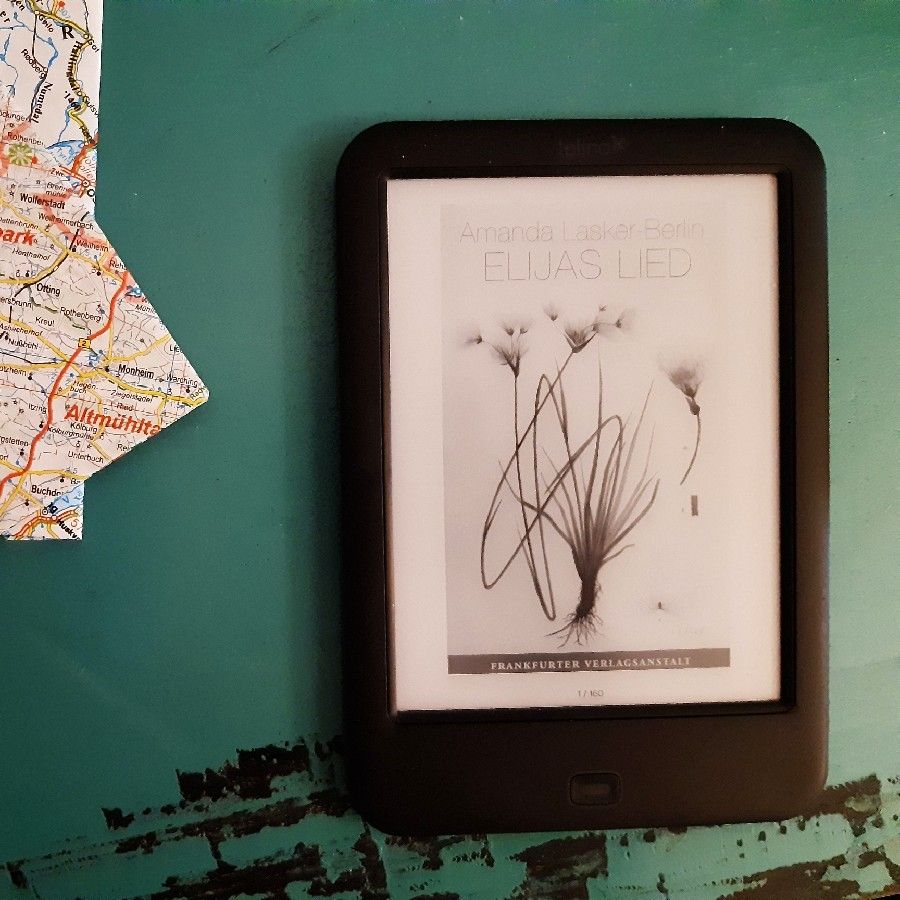 Wanderung mit schwerem Gepäck – „Elijas Lied“ von Amanda&nbsp;Lasker-Berlin