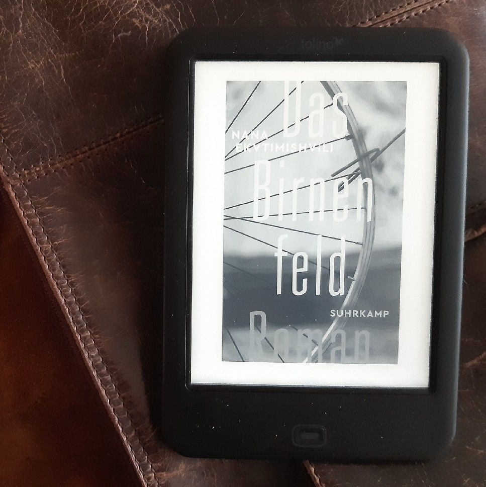 Post-Sowjetische Trostlosigkeit – „Das Birnenfeld“ von Nana&nbsp;Ekvtimishvili