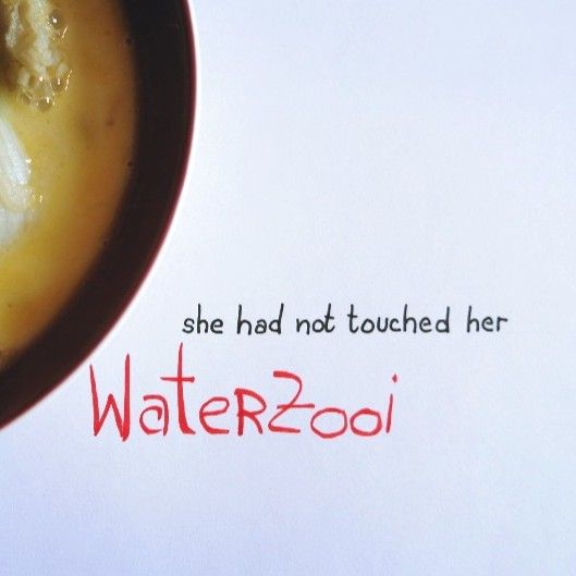 Essen aus Büchern: Waterzooi aus Teju Coles „Open&nbsp;City“