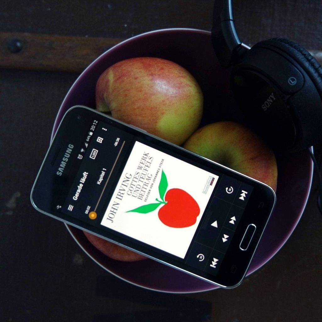 John Irving: Gottes Werk und Teufels&nbsp;Beitrag