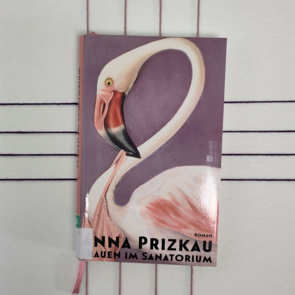 Wahn und Wahrheit – „Frauen im Sanatorium“ von Anna&nbsp;Prizkau